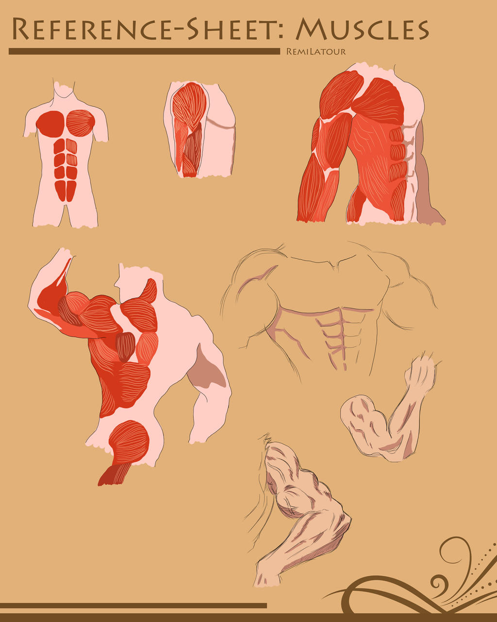 Muscular Build Reference Reference Sheet: Muscles 25_10_2014 by RemiLatour on DeviantArt