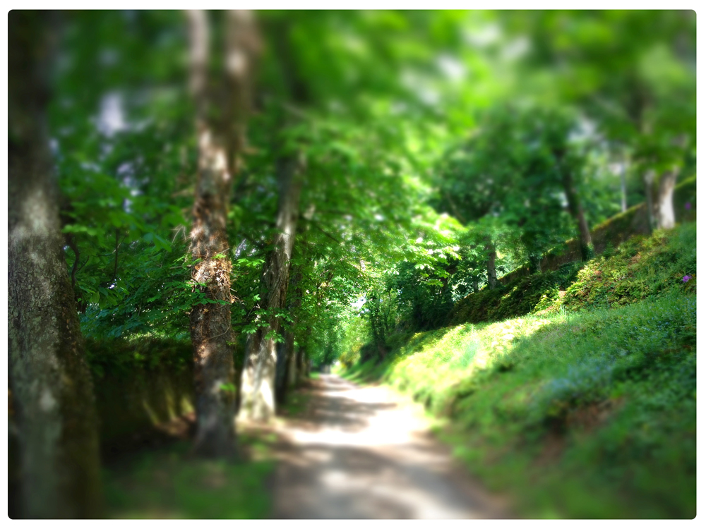 Bretagne Tilt shift 03