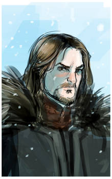 Eddard Stark