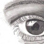 Eye Sketch