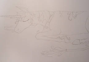 last unicorn sketch