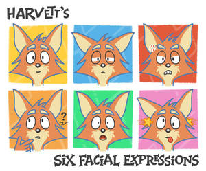 Harvett Fox: Six Facial Expressions