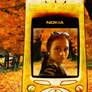 My Autumn Nokia