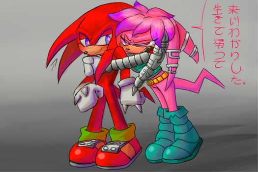 Knuckles and Julie-Su (Sonic X *Recolor*) by BerrystarLover on