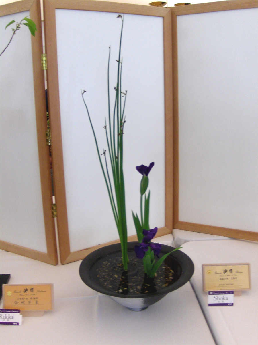 Shoka Ikebana 3