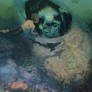 Ancient aeronaut