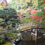 japanese garden 002