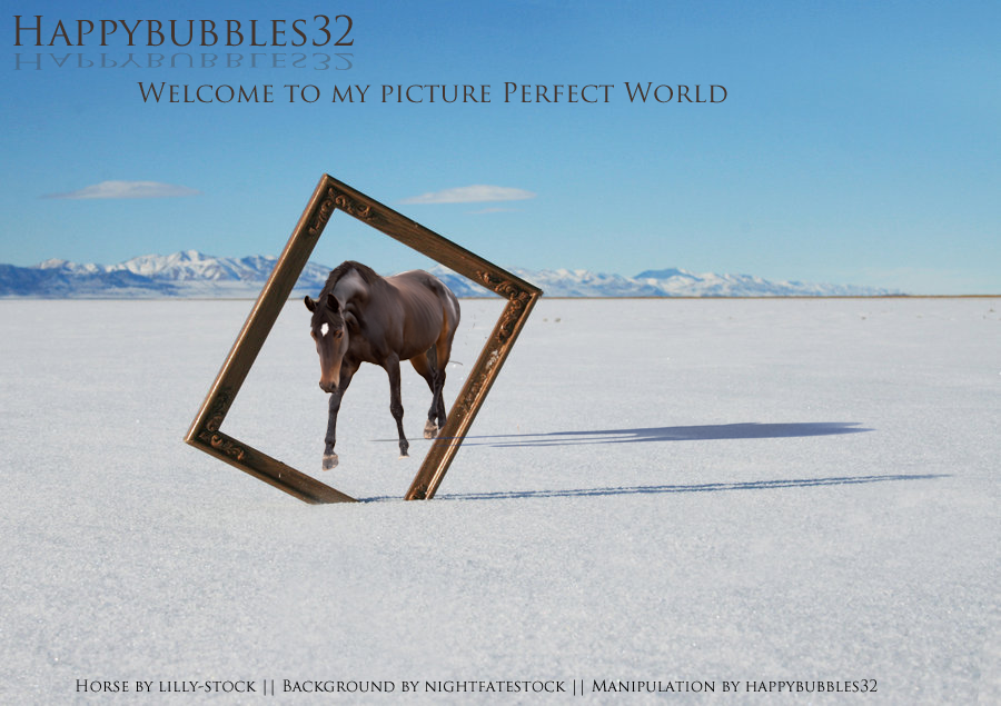 Picture perfect