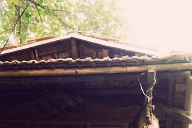 Ancient Roof