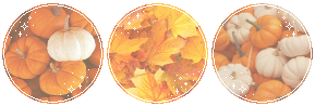 autumn/fall divider