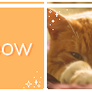 . meow | f2u page decor .