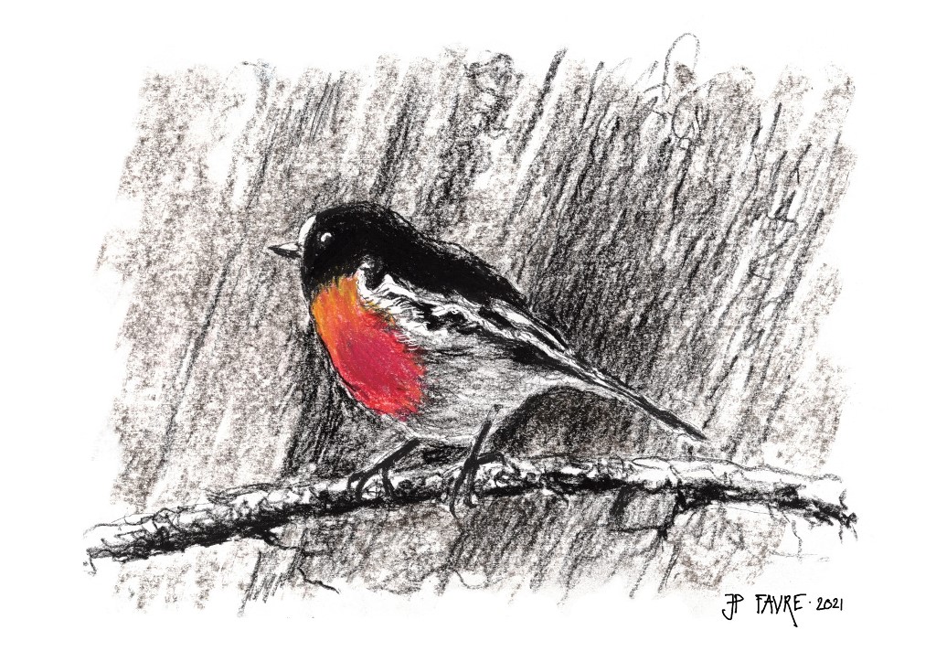 Red Robin Deviantart Design Red Robin by Wattlespring on DeviantArt