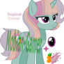 MLP NG Adopt Tropical Comet (Closed!)