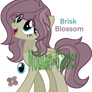 MLP NG Adopt Brisk Blossom (Closed!)