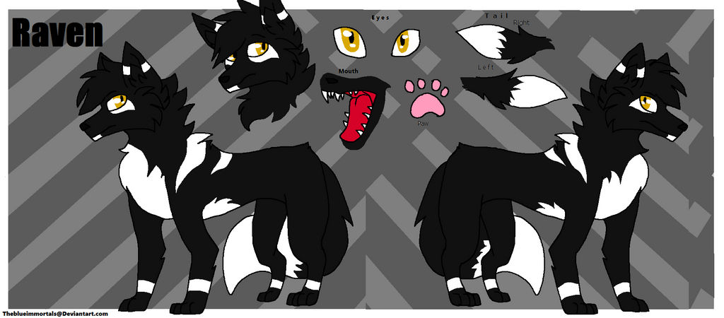 Raven ref by Theblueimmortals on DeviantArt