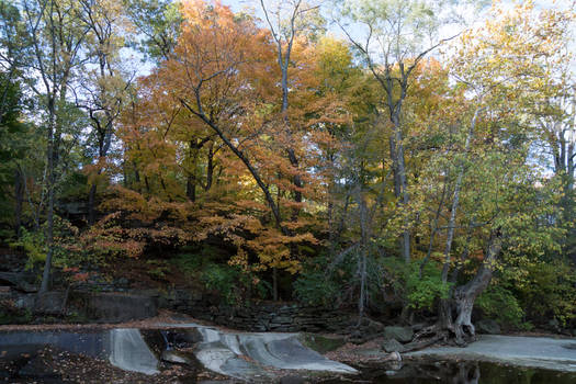 Color On The Bank