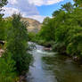 Looking Down The River