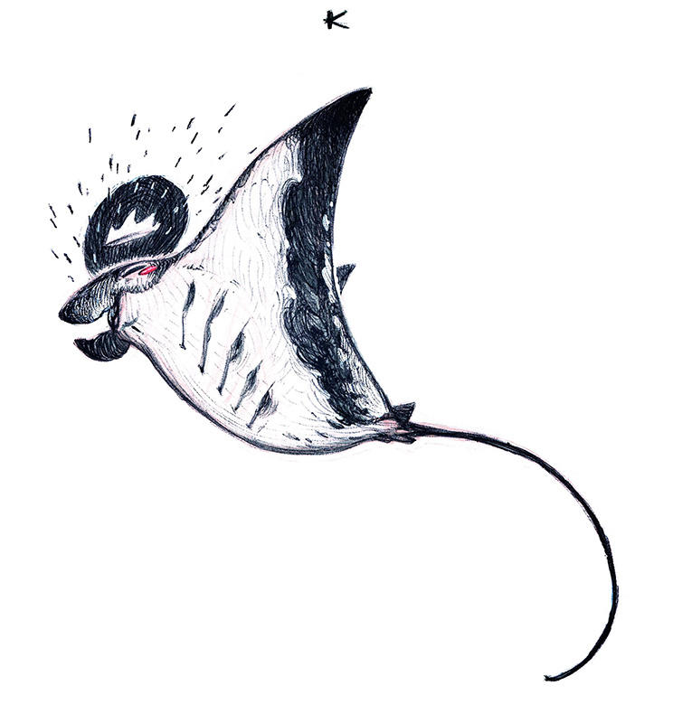 King Ray Insect King Ray~ by kian02 on DeviantArt