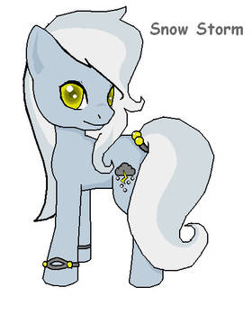 Snow Storm - ADOPTABLE