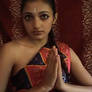 Indian Sari IV