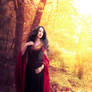 Arwen Cosplay