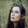 Mirkwood Elf Cosplay by Ari Rubin