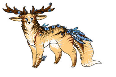 Antler Adoptable