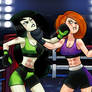 Kim possible vs Shego (commission)