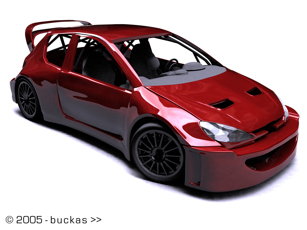 W.I.P - Peugeot 206 WRC