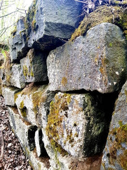 Stone wall with moss