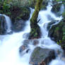 Cascada, Fragas do Eume