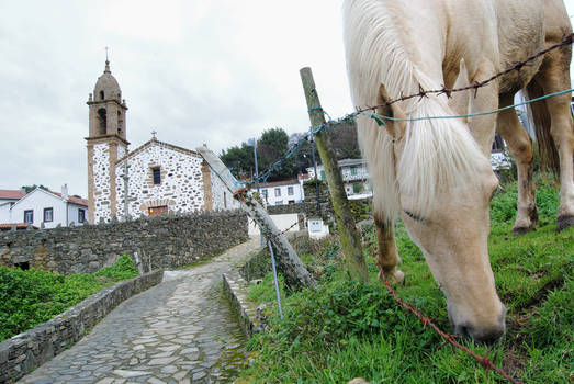 Ermita, caballo