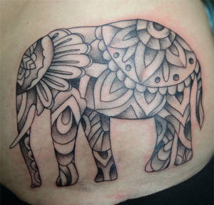 Paisley Elephant