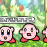 Nintendo logic-kirby victory d-WHO ARE YOU PEOPLE!