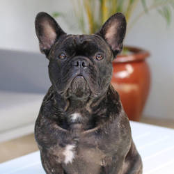 Footprints On Our Hearts