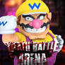 Wario DB