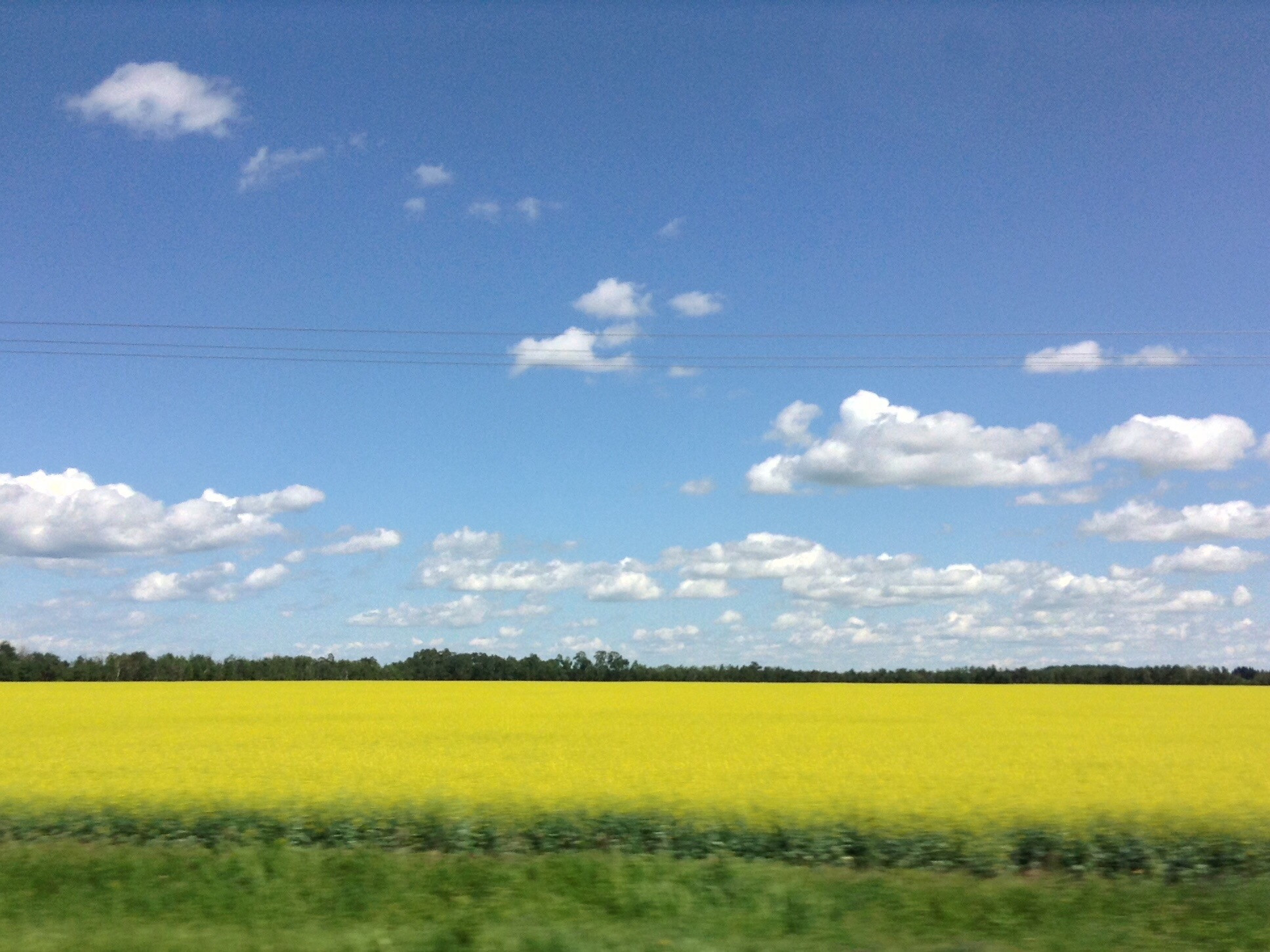 Beautiful Landscape
