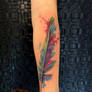 watercolor feather 1