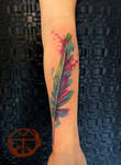 watercolor feather 1