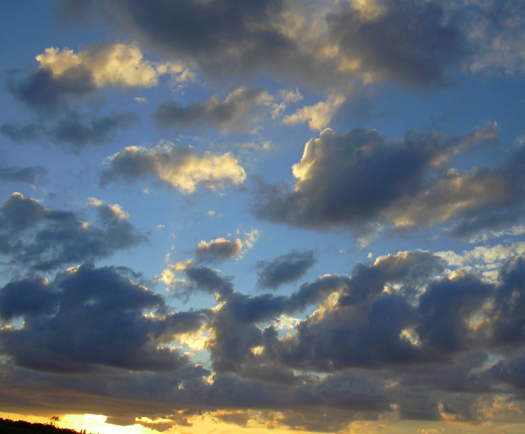 Yellow clouds