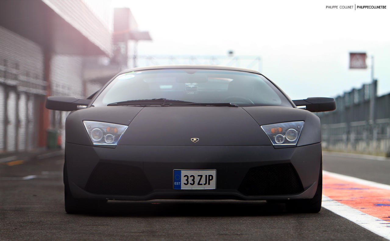 Matte Bull