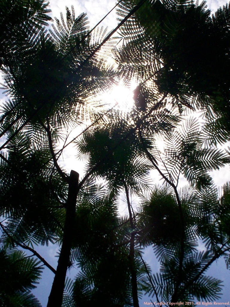 Nature vs. Technology by MGartist on DeviantArt