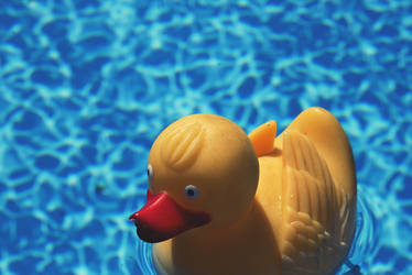 Rubber Duck