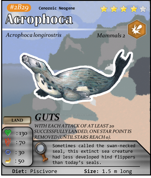 Aqua Series No. B29: Acrophoca