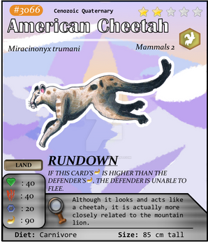 Ceno Series No. 66: American Cheetah