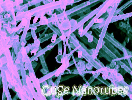 CuSe nanotubes