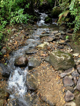 El Yunque, Puerto Rico