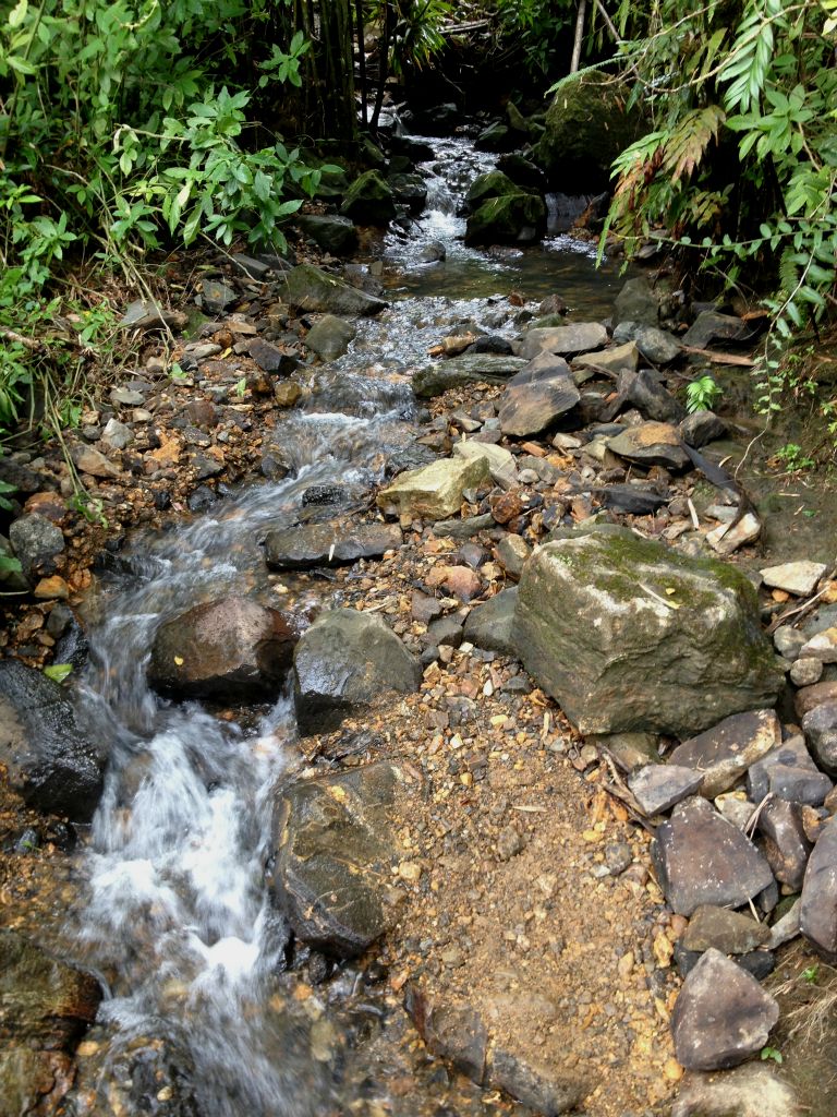 El Yunque, Puerto Rico