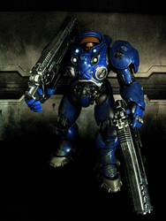 Starcraft 2 Custom Terran Marine Tychus Findlay