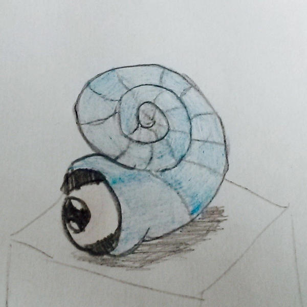 sheye,the shell fakemon by BluetoeTheDino on DeviantArt